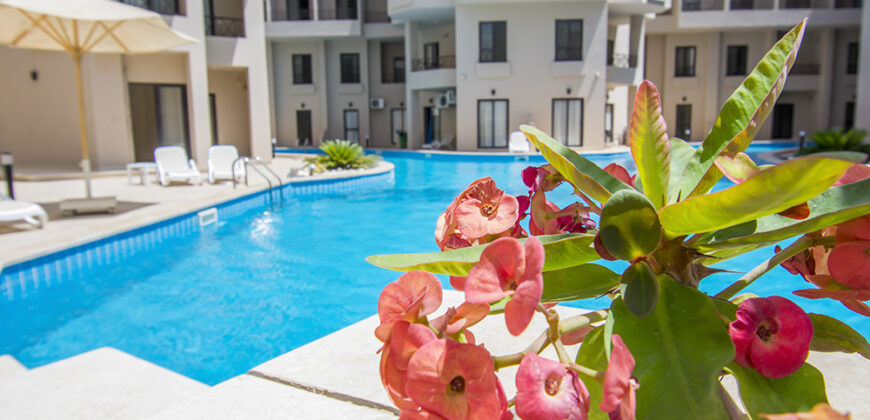 Aqua Tropical Resort Hurghada 1 Bedroom Pool Level