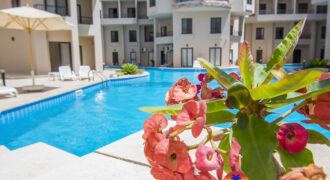 Aqua Tropical Resort Hurghada 1 Bedroom Pool Level